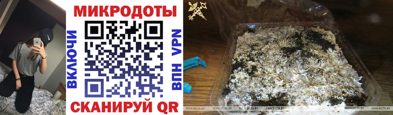 Галлюциногенные грибы MAGIC MUSHROOMS  hydra   Донской 